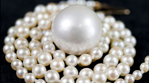 an loai theo qua trinh hinh