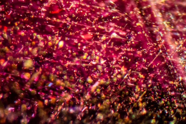 Lụa trong Mozambique Ruby