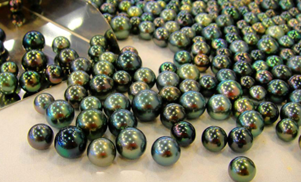 Ngọc trai Southsea