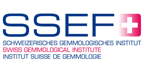 Trang chủ 105 SSEF logo
