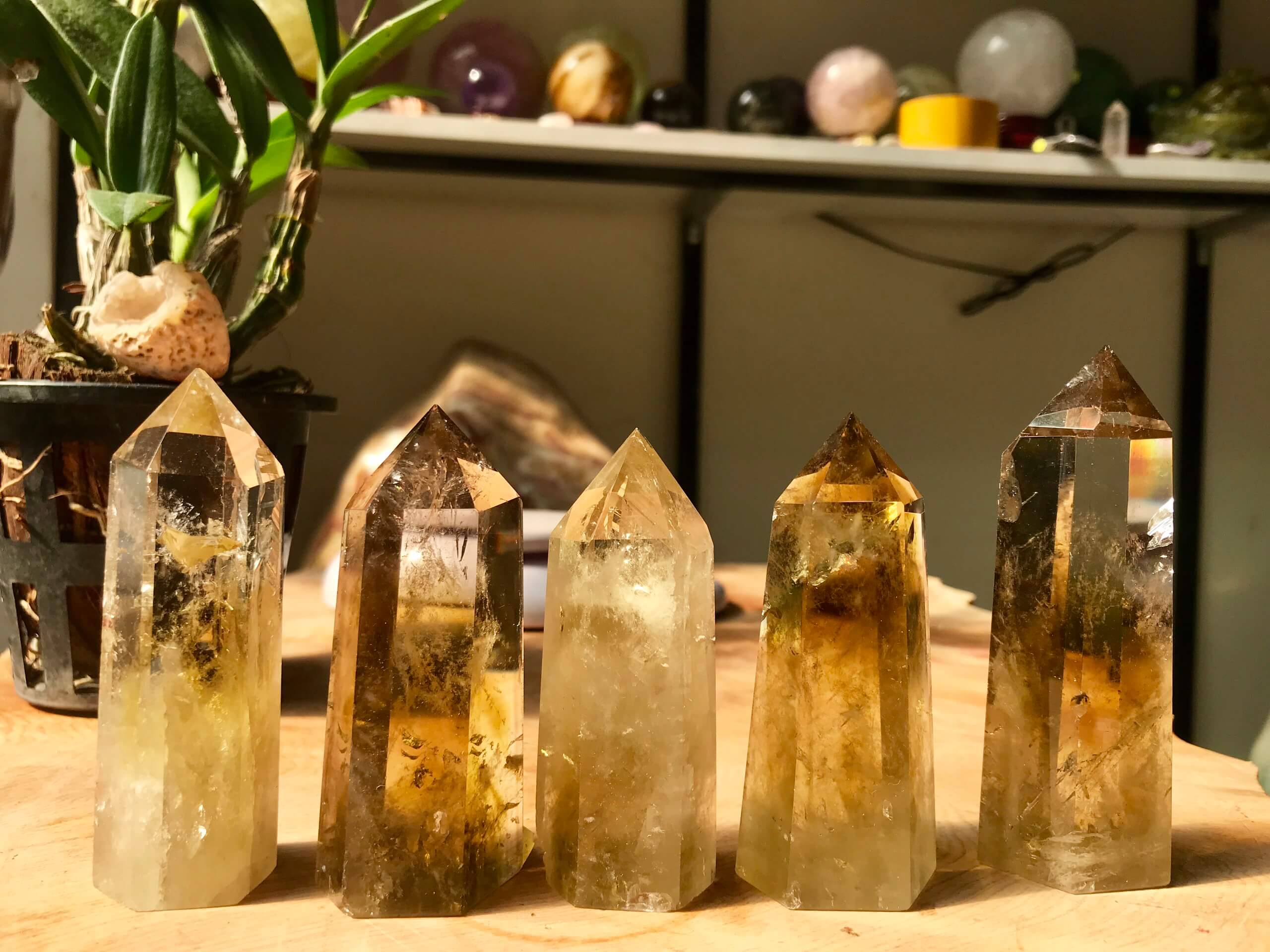 Mang tới năng lượng tích cực