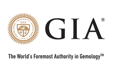 Trang chủ 101 gia logo