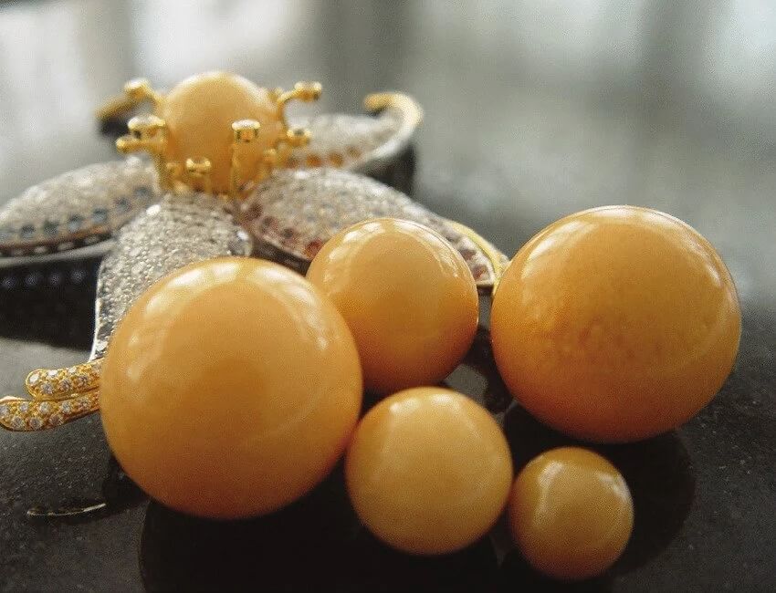 Giá trị của Ngọc ốc giác vàng