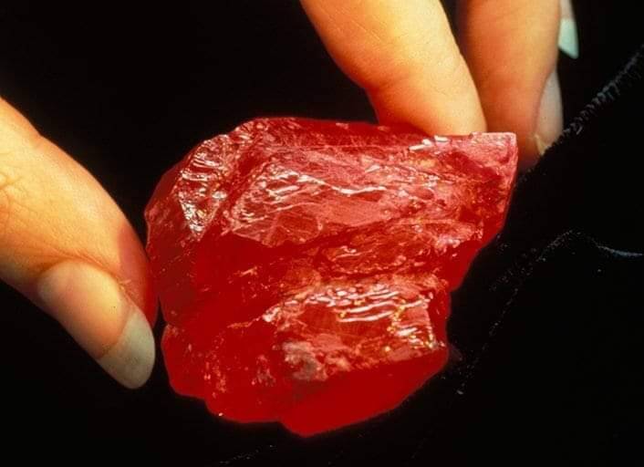 The Nawata Ruby: 496.5 carat