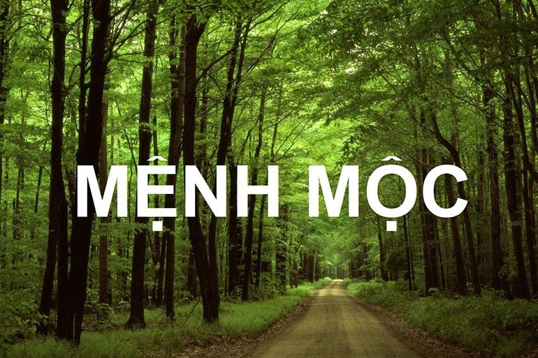 Tính cách của người mệnh Mộc