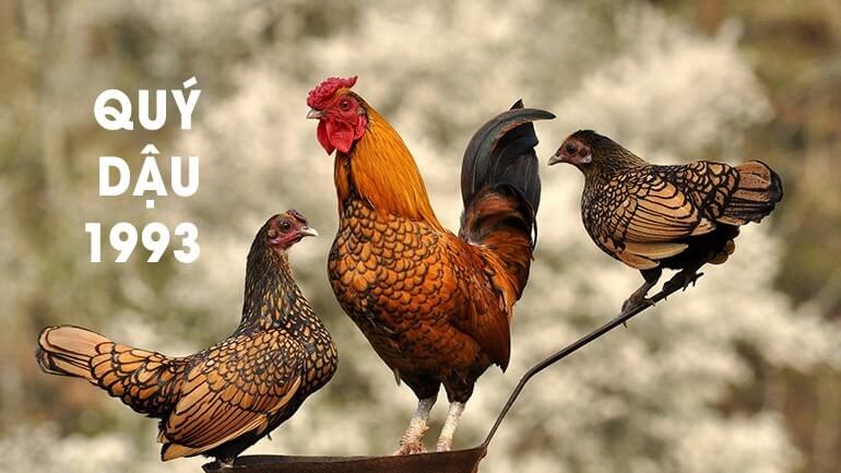 Người sinh năm 1993 hợp đá màu gì ava