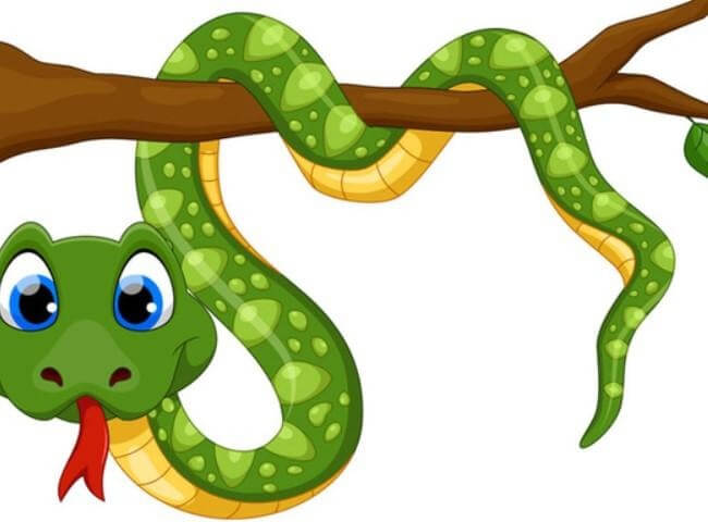 Tính cách của người tuổi tỵ