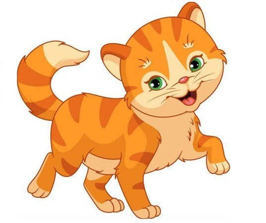 Con Mèo trong 12 con giáp