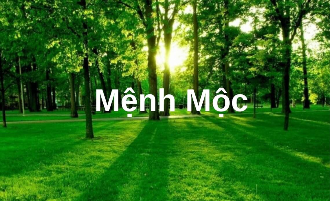 Mệnh Mộc