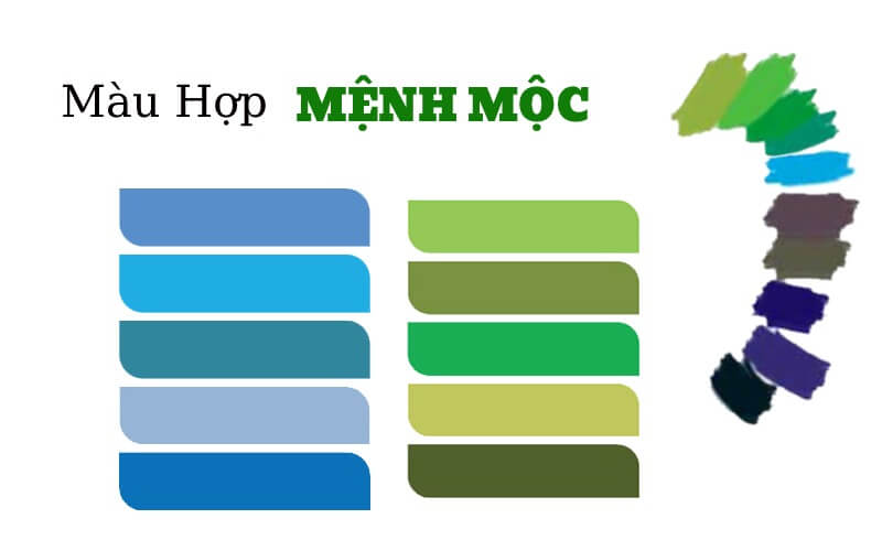 Người mệnh Mộc hợp màu gì?