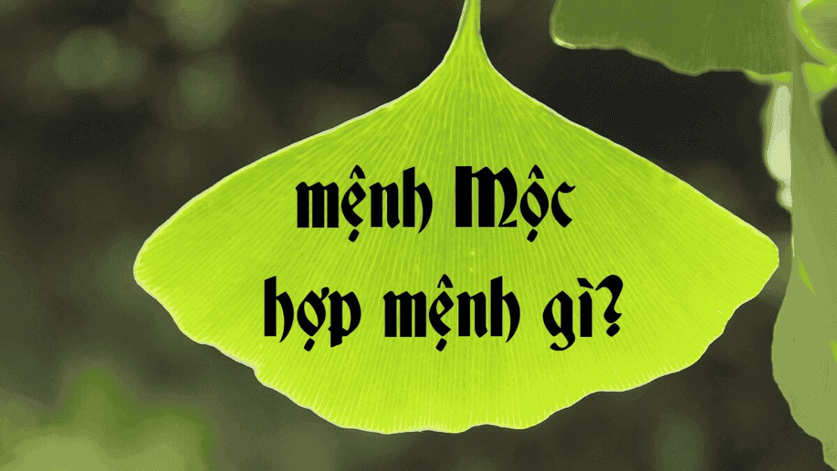 Người mệnh Mộc hợp với mệnh nào?