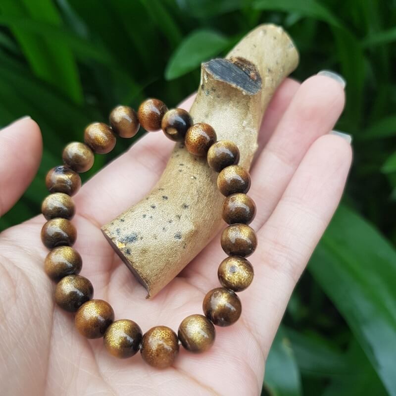 Kết nối và hòa mình với thiên nhiên