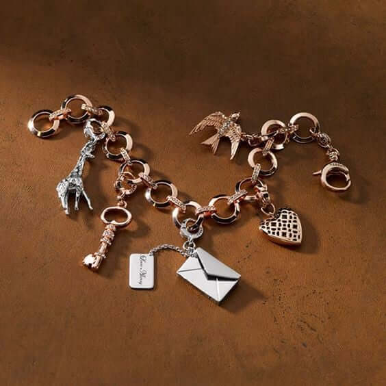 Hạt charm là là gì