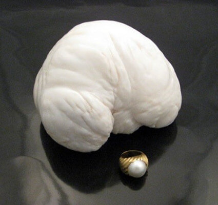 Viên ngọc trai Allah trọng lượng 6,4kg