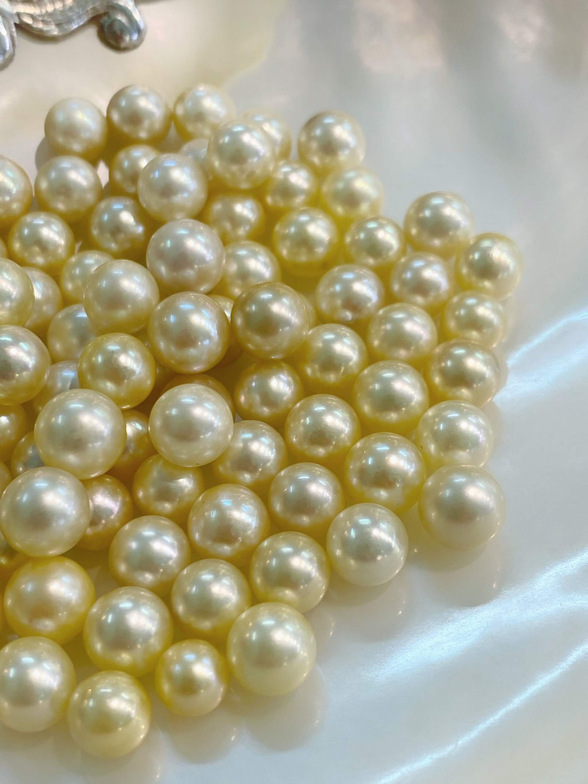 Thuần thể ngọc trai South Sea